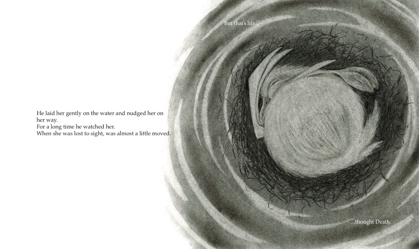 Duck, Death and the Tulip - Wolf Erlbruch 3